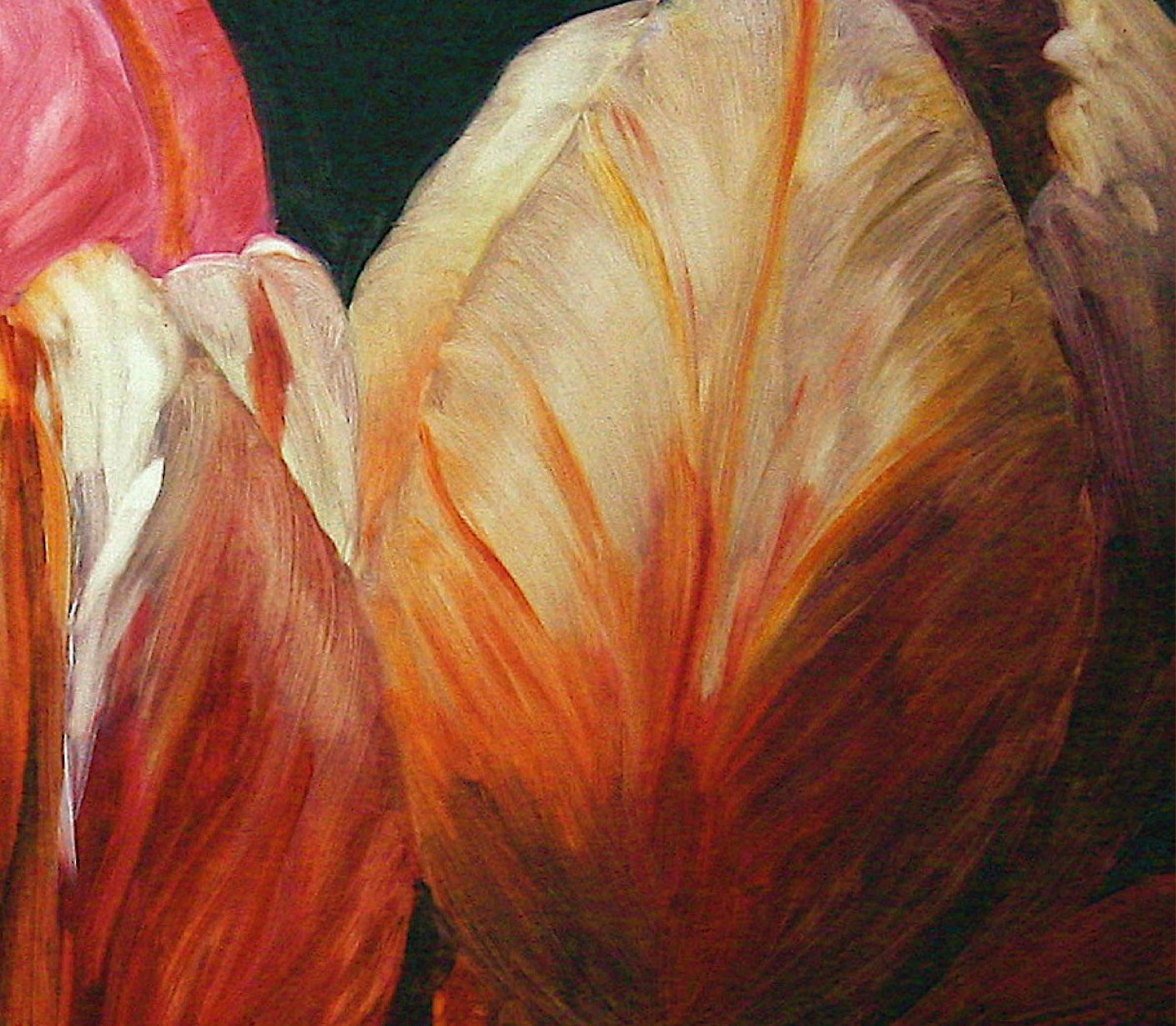 Book | Bloom: On Becoming An Artist Later in Life