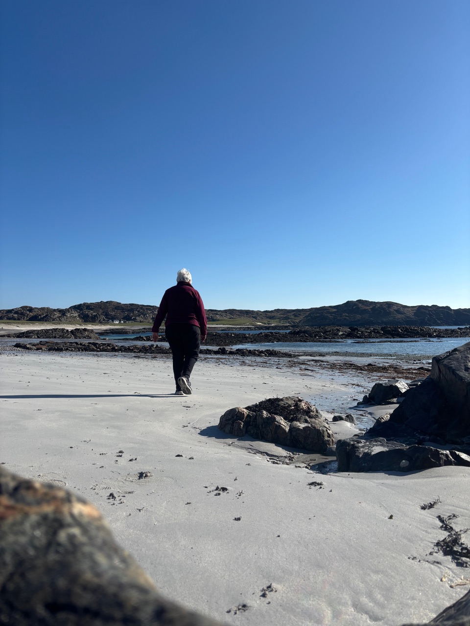 About Workshops in Wild Places